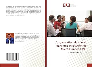 L’organisation du travail dans une Institution de Micro-Finance (IMF): Cas de Crédit Yas Mpa Sarl